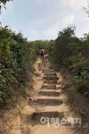 [홍콩 트레일 여행] 용의 능선을 따라 굽이굽이 걷는 발걸음, 드래곤즈 백