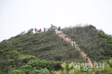 [홍콩 트레일 여행] 용의 능선을 따라 굽이굽이 걷는 발걸음, 드래곤즈 백