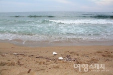바다열차 타고 동해 여행…동해역에 내려 감추사, 한섬해변, 천곡 천연동굴 돌아보기
