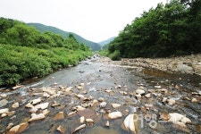 충북 영동, 석천 따라 월류봉 둘레길 걷기 여행