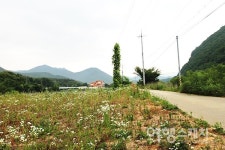 충북 영동, 석천 따라 월류봉 둘레길 걷기 여행