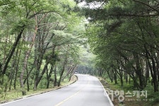 [세계유산 등재 확정] 산사, 한국의 산지승원 ③ 경남 양산 통도사