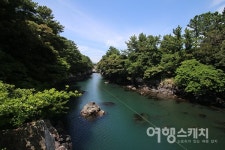 [쉬영갑서예 ①] 쇠소깍 구경하고, 감귤 체험까지, 서귀포시 하효마을