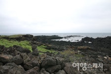[쉬엉갑서예 ③] 삼신인(三神人)이 혼인한 마을, 제주 서귀포시 혼인지마을