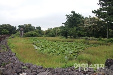 [쉬엉갑서예 ③] 삼신인(三神人)이 혼인한 마을, 제주 서귀포시 혼인지마을