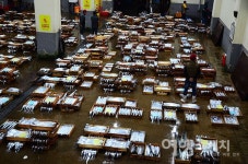 20년만의 갈치 풍어, 제주도 은갈치가 돌아왔다!