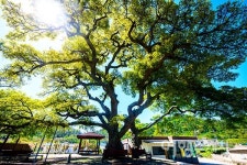 [양소희의 섬여행] 일상에서 멀리 떠나고 싶을 때 서해 끝섬 여행, 안마도