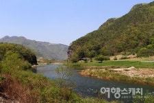 [신정일의 1300리 낙동강 걷기] 퇴계오솔길을 걸으며 안동이 배출한 인물들을 만나다