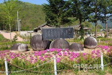 [신정일의 1300리 낙동강 걷기] 퇴계오솔길을 걸으며 안동이 배출한 인물들을 만나다
