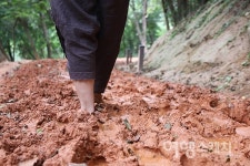 숲 수영장에서 황톳길까지. 풍성하다 풍성해! 남녀노소 누구나 물무산 행복숲 둘레길