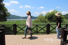 [남도 맛 기행①] 숲과 호수가 공존하는 생태원과 맛좋은 보리굴비, 광주