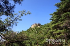 [역사 기행] 신돈(辛旽)의 자취가 서린 옥천사터…  창녕 화왕산 자락에 남아있는 역사의 굴곡들