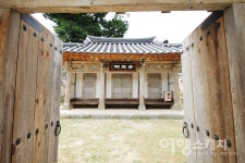 [아산 여행] 은행나무와 함께 한 청백리의 삶… 충남 아산 맹씨행단