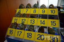 [미식 여행] 완도 바다를 고스란히 품은 전복의 맛