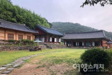 [아산 여행] 스스로 치유하며, 아름다움을 선사하는 봉곡사 천년의 숲길
