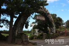 상상 속 공룡 세상을 마주하다, 제주공룡랜드