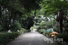 상상 속 공룡 세상을 마주하다, 제주공룡랜드