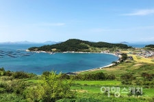 [休] 푸르른 가을 풍경과 삶의 쉼표가 되는 섬, 청산도