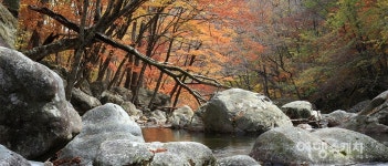 [여행 레시피] 단풍 고운 산길, 지리산 피아골