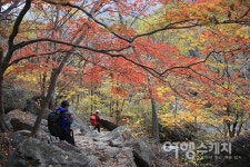 [여행 레시피] 단풍 고운 산길, 지리산 피아골