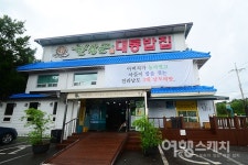 [남도 맛 기행⑥] 전통과 특산품이 어우러져 일궈낸 맛, 담양 떡갈비와 대통밥