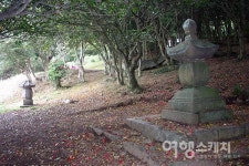 [역사 기행] 전남 강진과 정약용…다산의 학문이 꽃 핀 다산초당