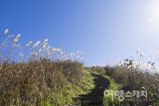[제주 오름 여행 ②] 가을 여행의 특별한 행복, 새별오름과 정물오름