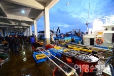 [미식 여행] 강물을 거슬러 오르는 연어를 만나다, 양양 남대천