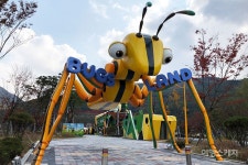 정선 스카이벅스 VR 모노레일, 곤충들과 함께 날면서 여행하는 기분