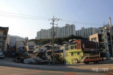 [도로명 찾아가자] 조엄로에서 만난 고구마, 부산 영도까지 간 까닭은?