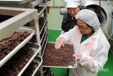 [관광벤처기업 탐방①] 파주에서 나고 자란 기념품 만들고 싶었죠 공지예 DMZ드림푸드 대표