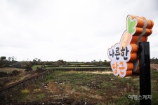 [제주 여행] 당근밭에서 자고, 한라산을 마신다? 제주에서 즐기는 이색 경험