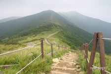 [뉴스체크-충북] 충주시, 공공 와이파이 서비스... 단양 소백산 자연휴양림 인기