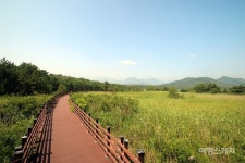 [뉴스체크-강원] 드라마 미스터 션샤인, 남자친구에 나온 강릉으로...고성, 자전거 타고 화진포, 송지호 둘레길 즐기기