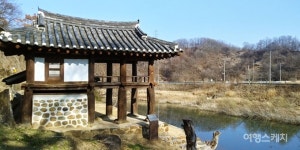 [뉴스체크-충북] 충북 유형문화재 옥천 이지당 눈길…증평군, 보강천 미루나무 숲 잔디밭 새 단장
