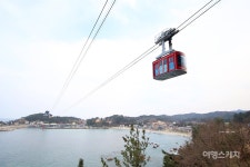 [체험 여행] 자유여행자 핫 아이템, 삼척투어패스...동굴과 바다 여행이 매력