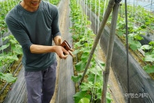 [전남에서 먼저 살아보기] 곡성에 살러갑니다 – 곡성 안개마을①