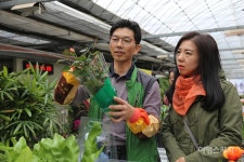 평화의 꽃 피우는 2019 고양국제꽃박람회 개막... 15m의 플라워 피스 인기