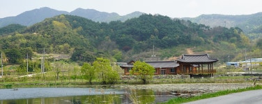 [전남에서 먼저 살아보기] 안개가 자욱이 피어나는 곳, 곡성 안개마을(종합)