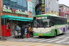 [전남에서 먼저 살아보기] 녹차 향기와 바다 풍경이 어우러진 곳, 보성 다향울림촌(종합)