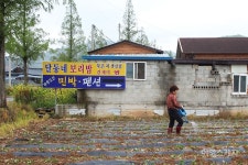 [전남에서 먼저 살아보기] 구수한 장(醬) 내음 가득한 마을, 해남에다녀왔습니다(종합)