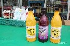 [전남에서 먼저 살아보기] 구수한 장(醬) 내음 가득한 마을, 해남에다녀왔습니다(종합)