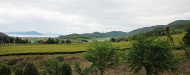 [전남에서 먼저 살아보기] 귀농 준비 중이라면 꼭 먼저 살아보세요-보성 다향울림촌⑤