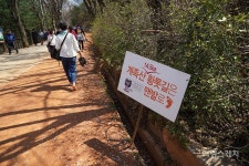 [봄 여행주간] 맨발로 만나는 산, 대전 계족산 황톳길