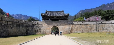 [Travel In Drama] 옛길과 터널, 오래된 철로까지…명소로 재탄생한 잊혔던 곳의 반란, 문경