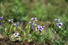 [여행 레시피] 걷고 있는 지금 이 순간, 지리산둘레길! 찰랑찰랑, 지리산 그림자 드리운 청초한 숲길