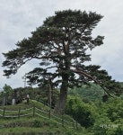 아름다운 사랑이야기와 시대의 아픔이 공존하는 곳 남원시 유람