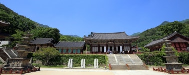 [여행 레시피] 자연으로 가는 길 구례의 사찰여행, 노고단 길목에 자리한 천은사와 화엄사