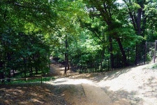 세 개의 왕릉과 푸른 숲길이 어우러진 곳, 걷기 좋은 파주 삼릉