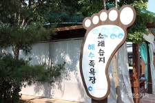 [체험여행] 생명의 보고로 거듭난 소금꽃 피던 자리, 인천 소래습지생태공원